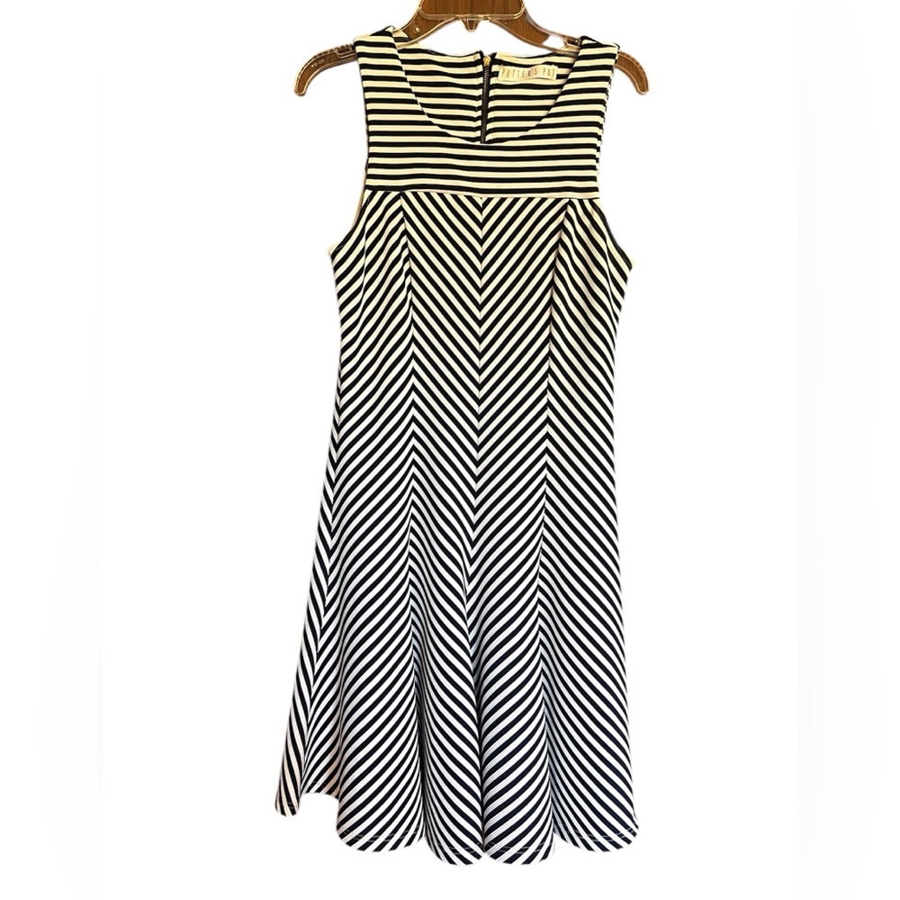 Potter's Pot Navy and White Chevron Midi Dress